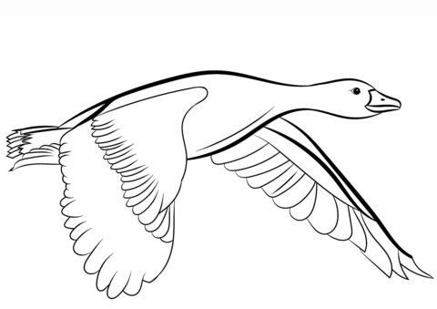 Goose Flying Coloring Page